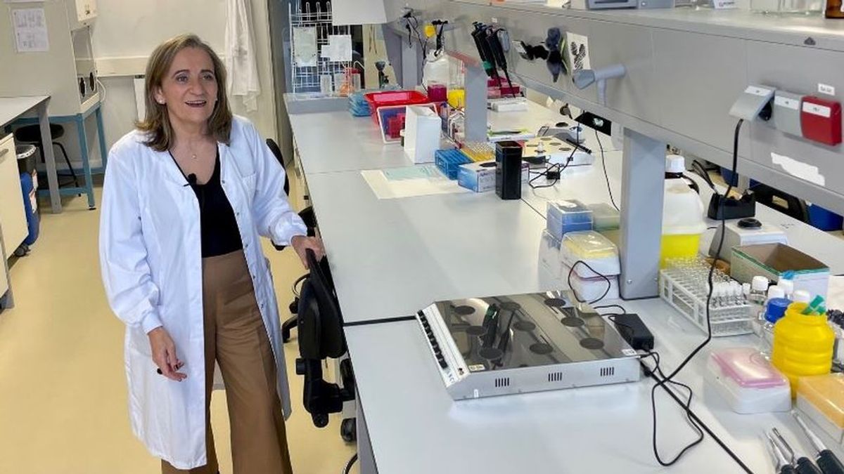 La vacuna gallega contra la covid que no necesitará frío: “Servirá para países en vías de desarrollo” La vacuna gallega contra la covid que no necesitará frío: “Servirá para países en vías de desarrollo”