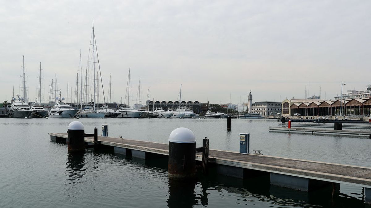 El rescate a un jabalí que cayó al mar en el puerto de Valencia tras campar a sus anchas por las calles El rescate a un jabalí que cayó al mar en el puerto de Valencia tras campar a sus anchas por las calles