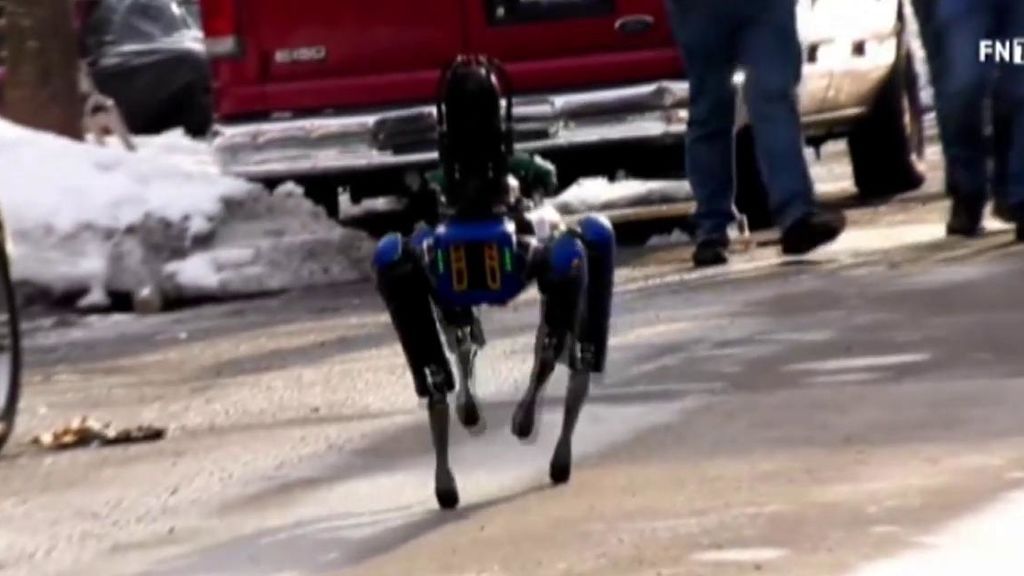 'Robocop' se hace realidad en Nueva York con forma de perro: un polémico policía canino acusado de racismo