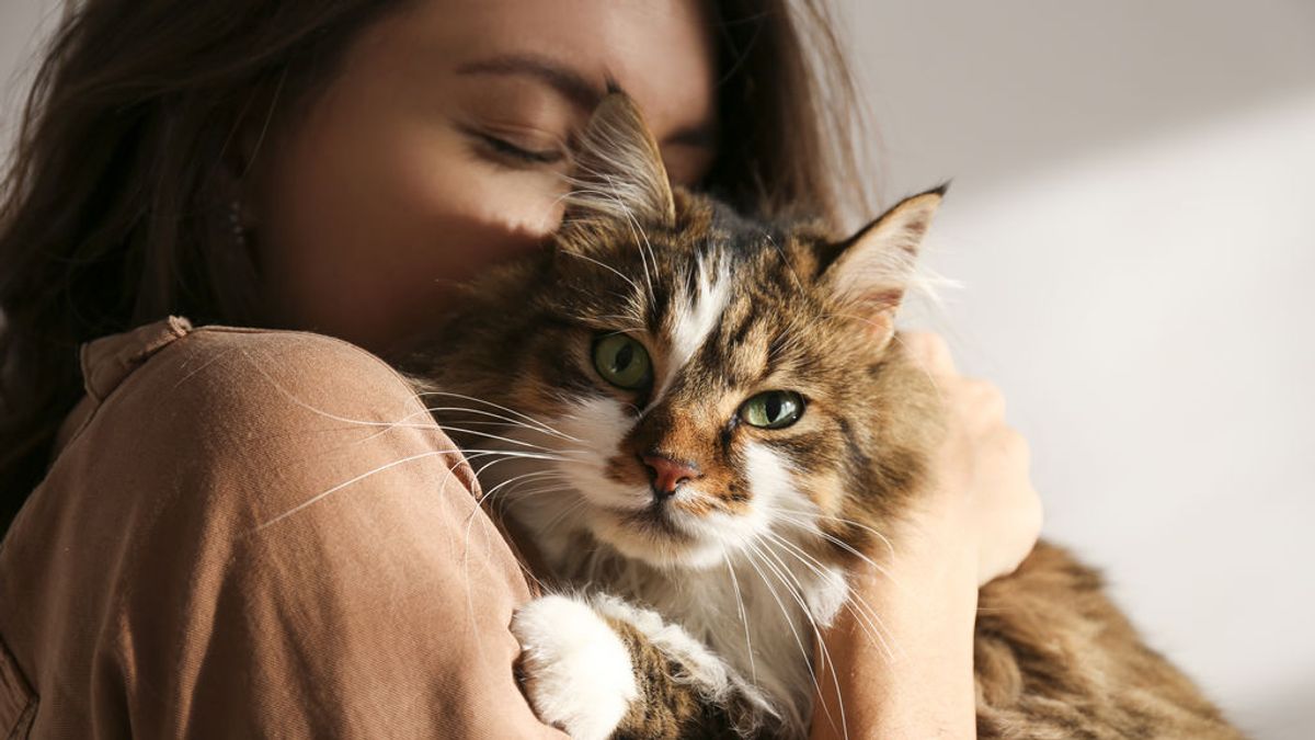 Un estudio revela que los gatos son menos leales que los perros con sus dueños