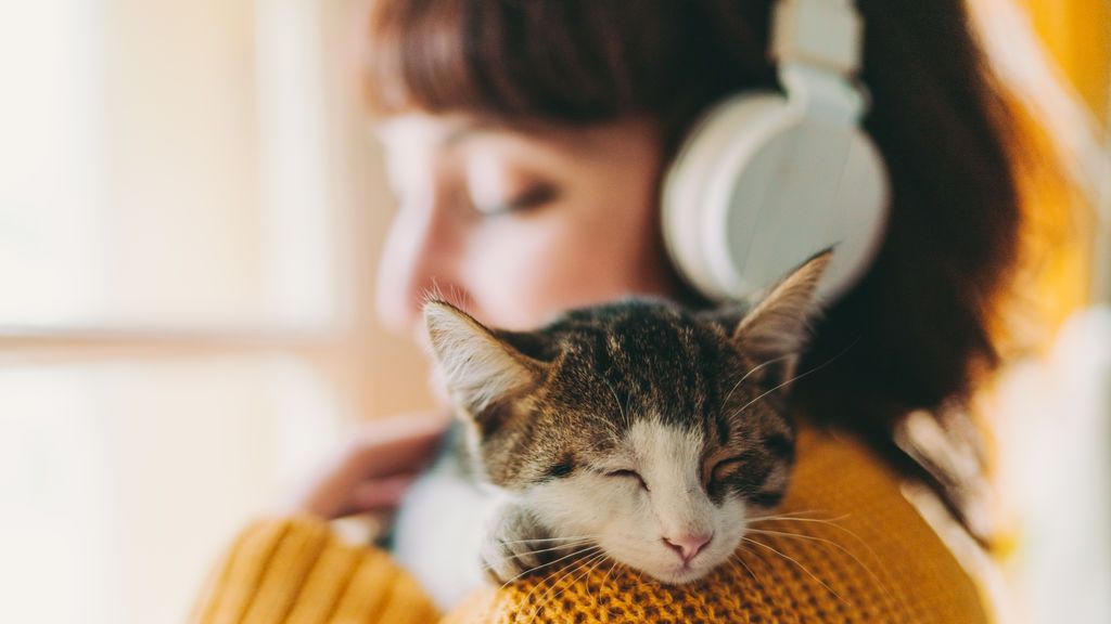 Los gatos forman fácilmente vínculos sociales con las personas