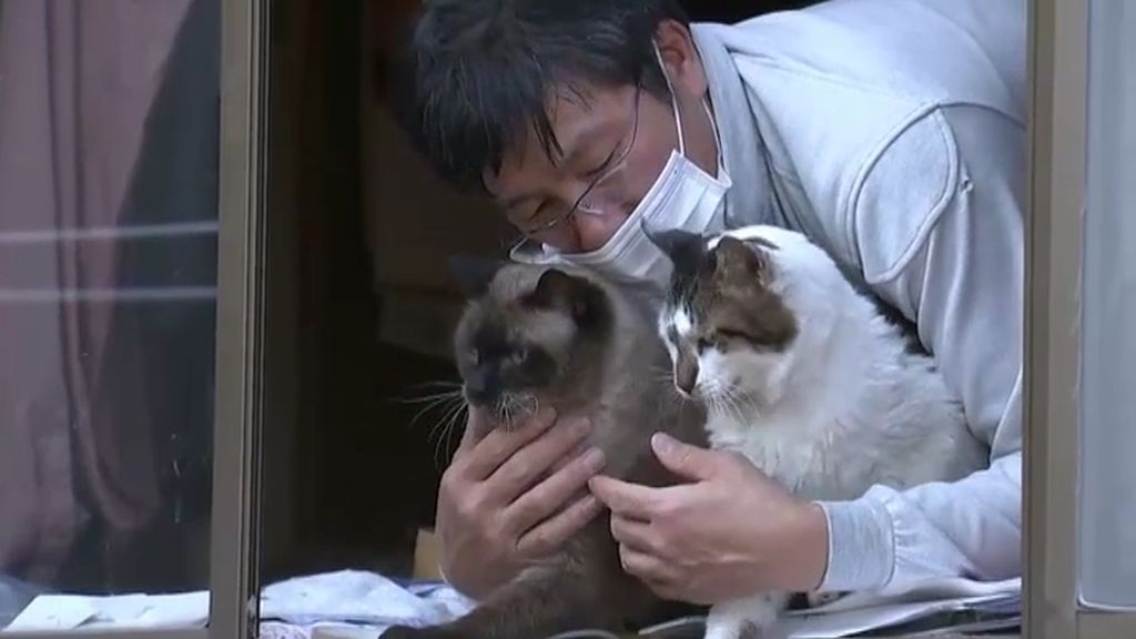 Kato, el salvador de las mascotas olvidadas en la zona nuclear de Fukushima