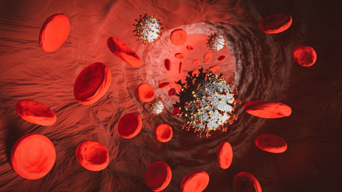 Un estudio confirma la atracción del coronavirus por un grupo sanguíneo concreto