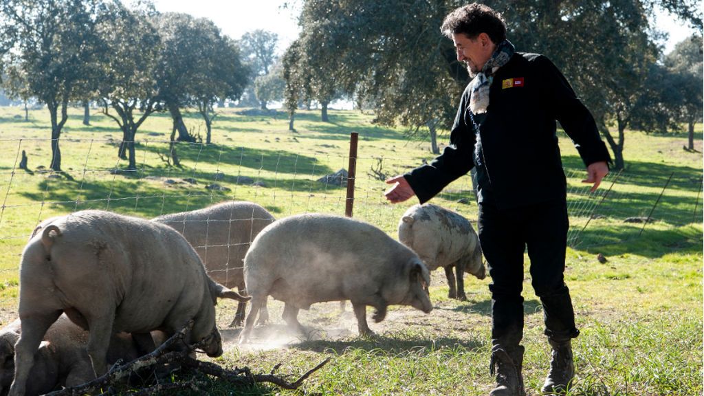 La alimentación y el entorno, claves para el cerdo ibérico