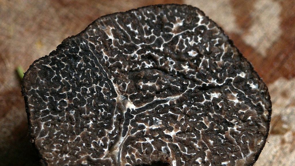 3 Recetas con salsa de trufa negra, el nuevo capricho gourmet