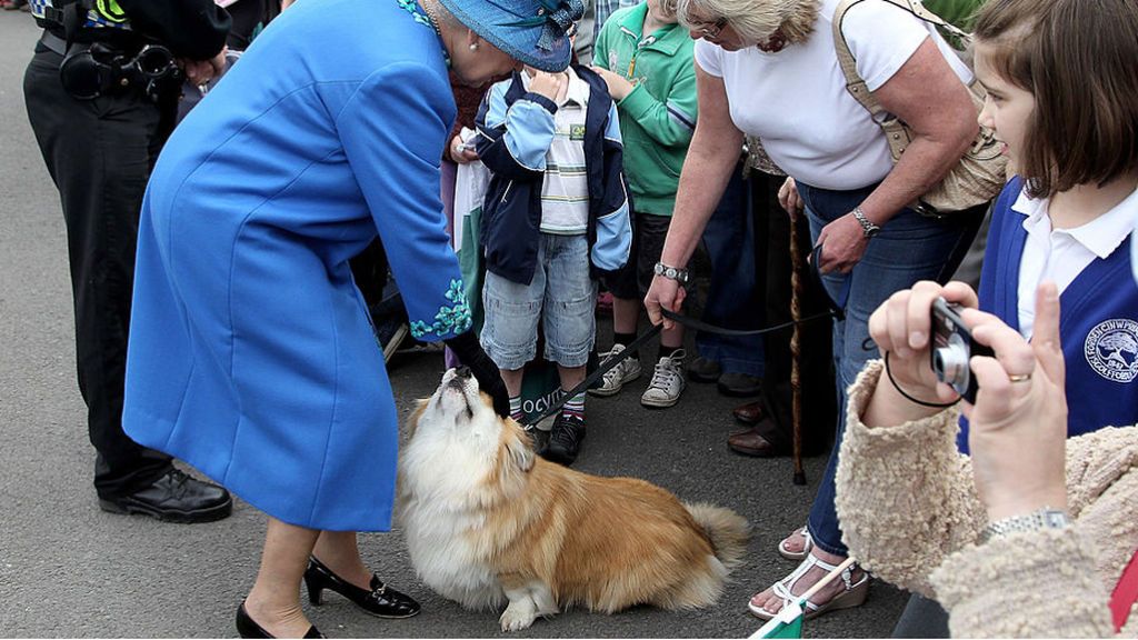 La reina Isabel II tiene especial predilección por la raza 'corgi'