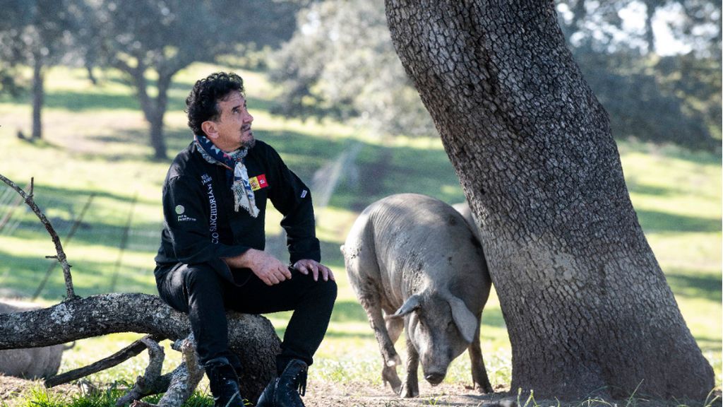 La alimentación y el entorno son claves para el cerdo ibérico