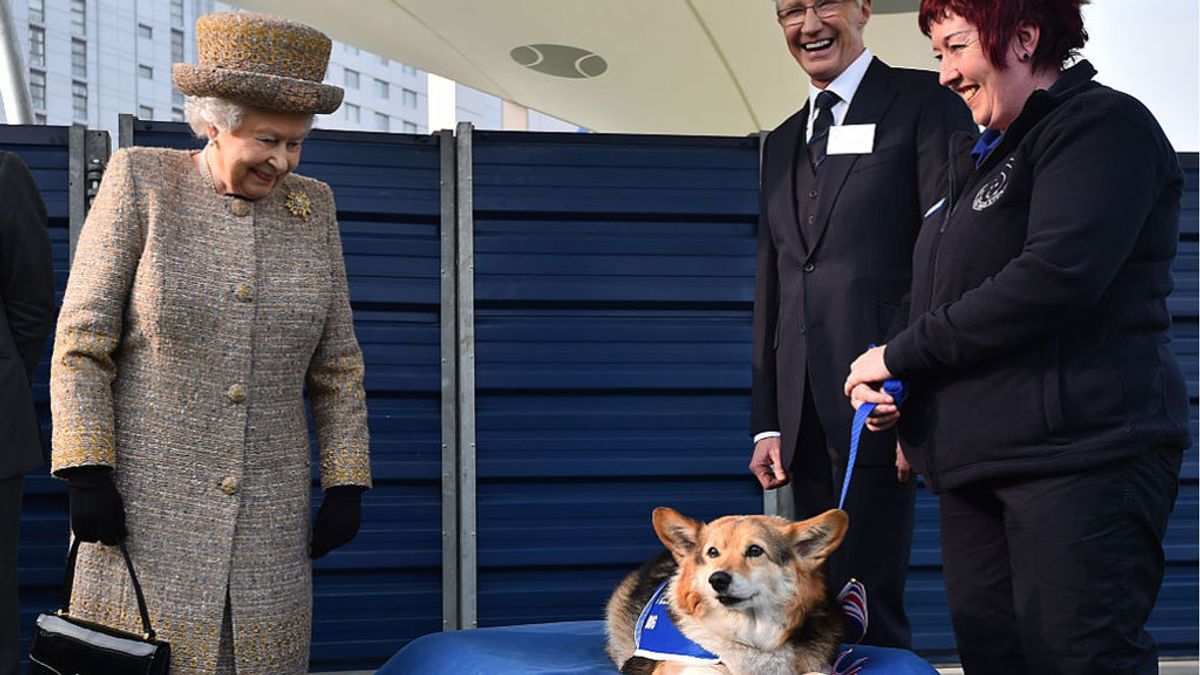 La reina Isabel II recibe dos nuevos cachorros 'corgi' que vivirán en el palacio de Windsor La reina Isabel II recibe dos nuevos cachorros 'corgi' que vivirán en el palacio de Windsor