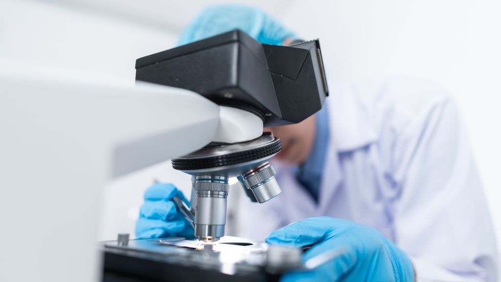 Las variantes modifican las predicciones sobre el fin de la pandemia: "La covid será un virus endémico mucho más peligroso que la gripe" Las variantes modifican las predicciones sobre el fin de la pandemia: "La covid será un virus endémico mucho más peligroso que la gripe"