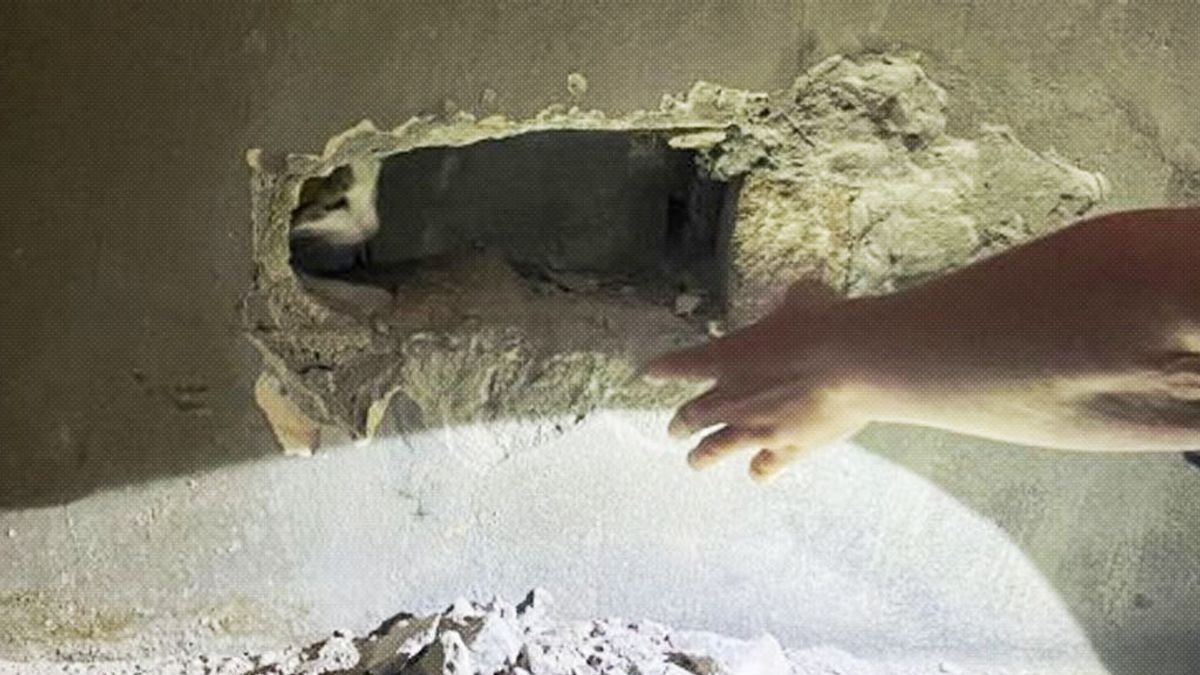 Rescatan a una gata que se había quedado atrapada dentro de una pared durante dos días