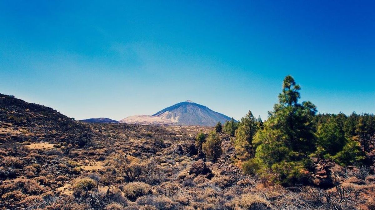 Mueren dos escaladores en el Parque Nacional del Teide Mueren dos escaladores en el Parque Nacional del Teide