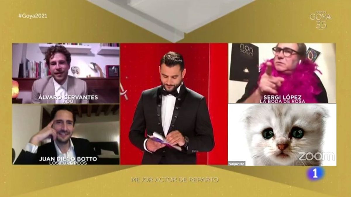 Los mejores memes de la Gala de los Goya 2021, marcada por las videollamadas