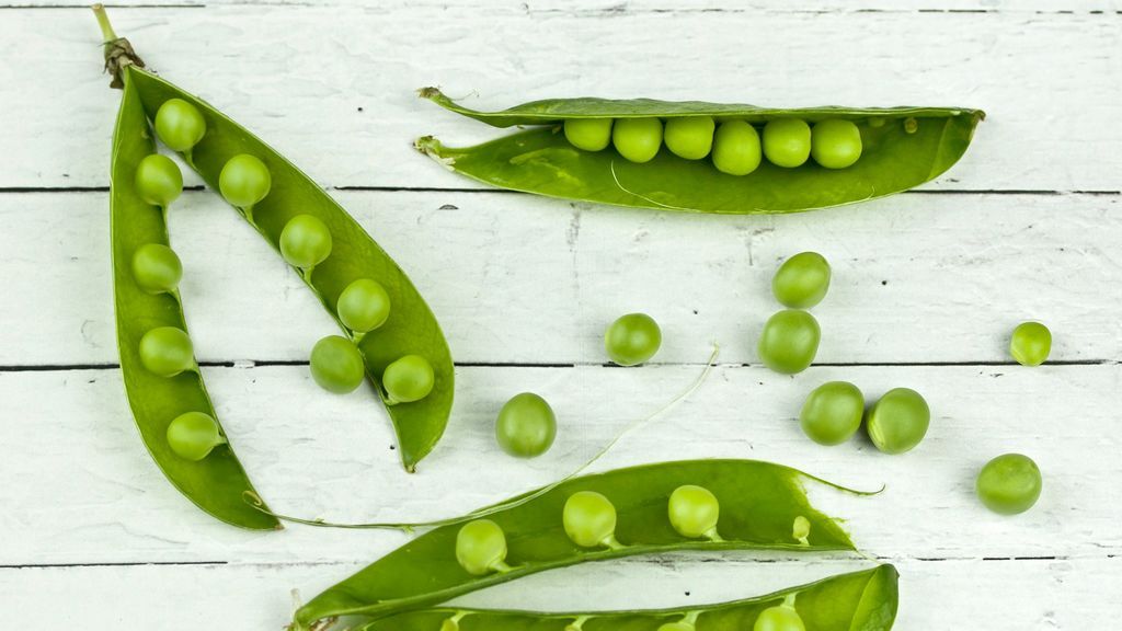 Guisantes: verduras fáciles de cultivar en casa