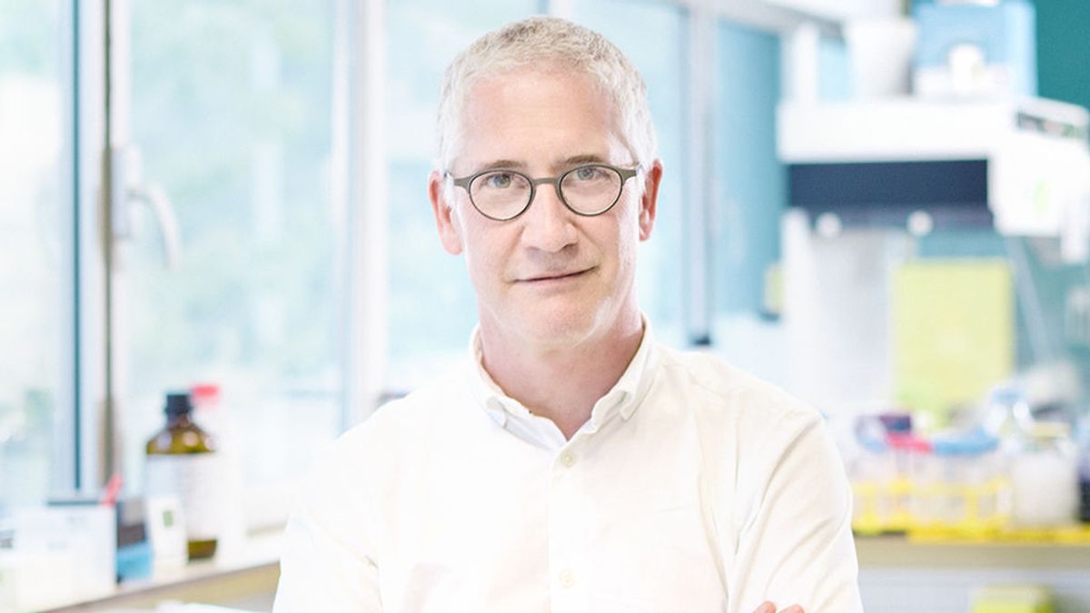 Julià Blanco, investigador: "Las personas infectadas previamente o vacunadas bloquean la variante británica" Julià Blanco, investigador: "Las personas infectadas previamente o vacunadas bloquean la variante británica"