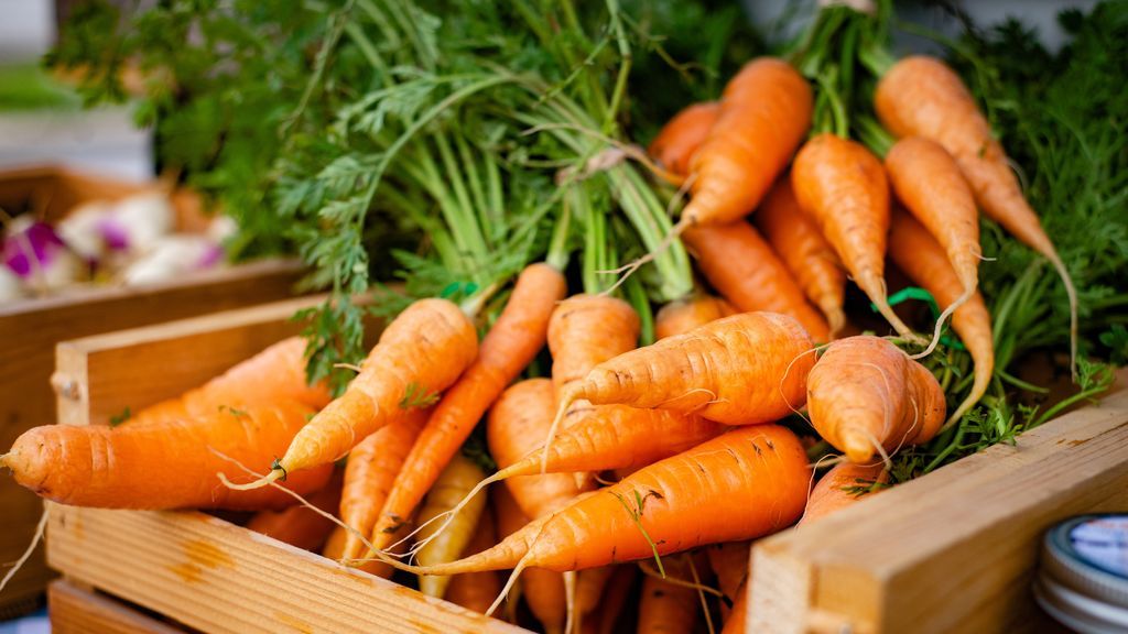 Zanahoria: verduras fáciles de cultivar en casa