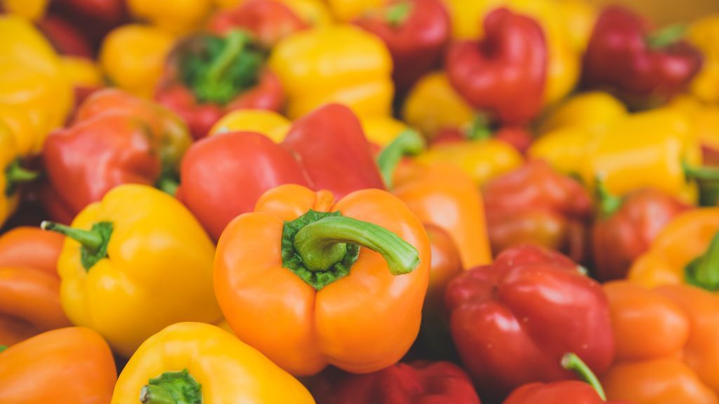 Pimientos: verduras fáciles de cultivar en casa