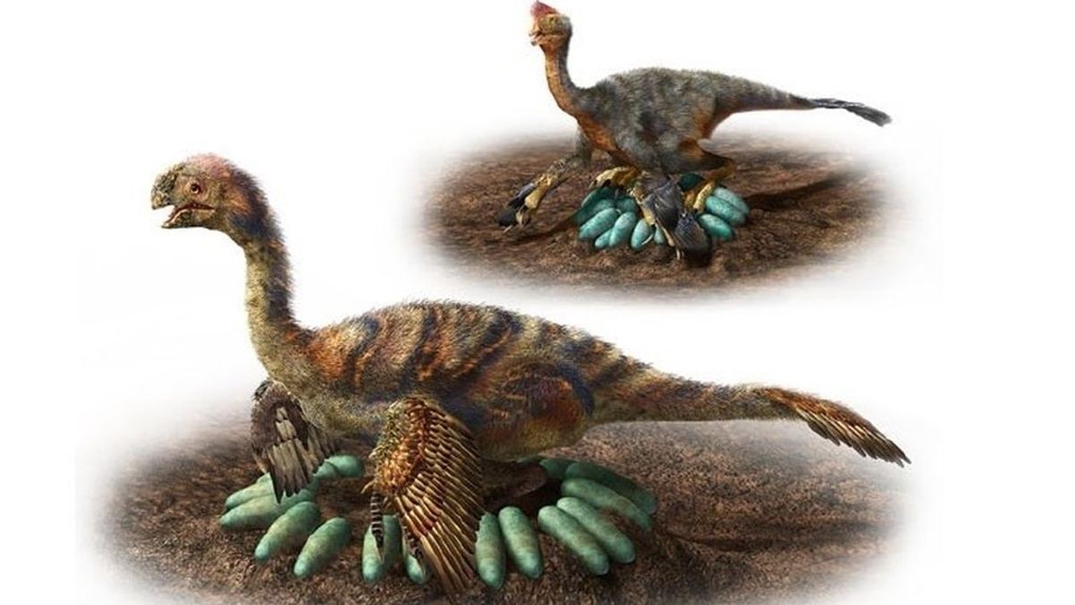Encuentran los restos de un dinosaurio incubando huevos con embriones fosilizados