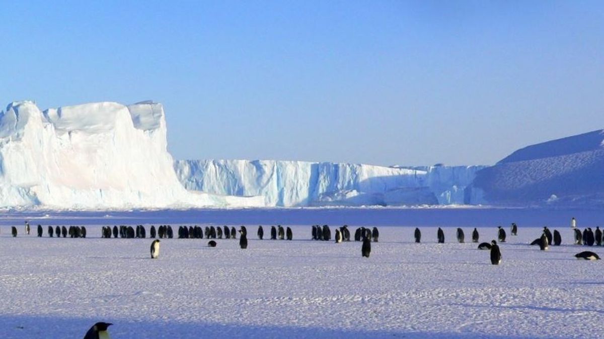 La Antártida esquiva el virus pero no la contaminación La Antártida esquiva el virus pero no la contaminación