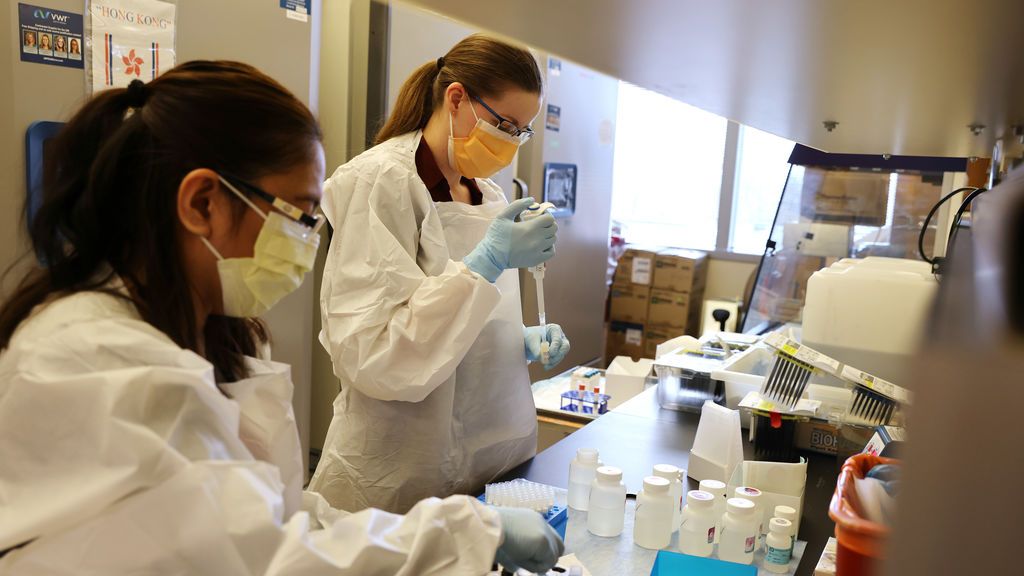 La Fundación BBVA crea un Programa de Impulso a la Comunicación Científica en colaboración con el CSIC