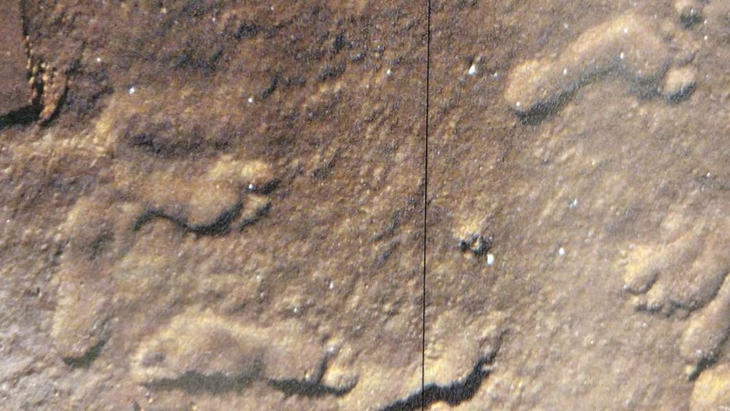 huellas-cueva-palomera