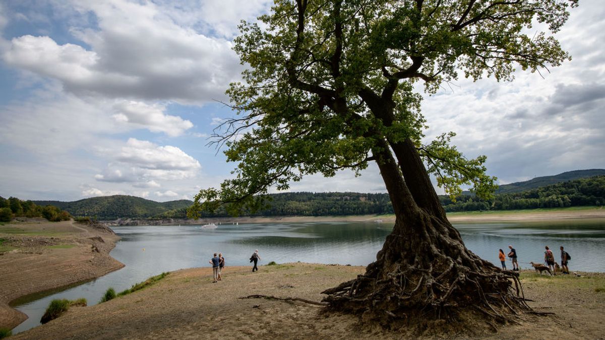 Las sequías de verano en Europa desde 2015 han sido las más graves en más de dos mil años Las sequías de verano en Europa desde 2015 han sido las más graves en más de dos mil años