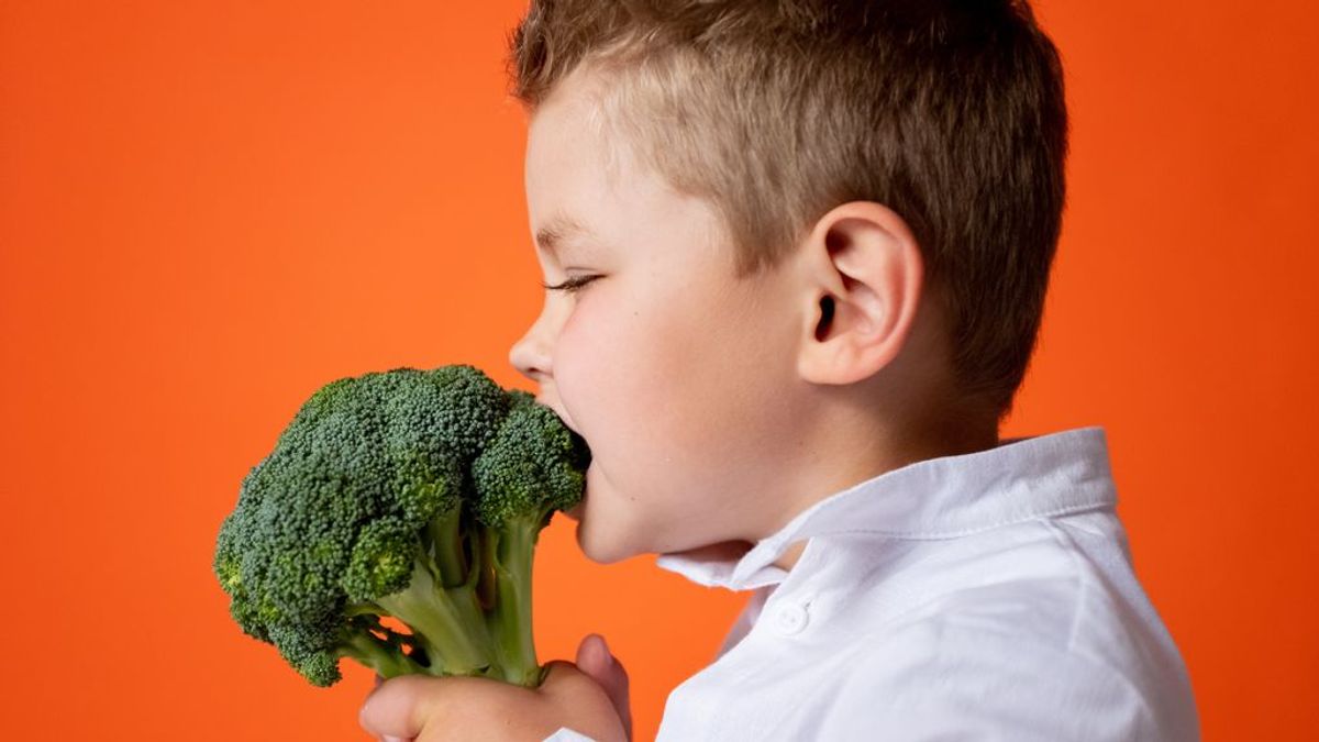 Neofobia gustativa: analizan los mecanismos cerebrales implicados en la resistencia a probar sabores nuevos Neofobia gustativa: analizan los mecanismos cerebrales implicados en la resistencia a probar sabores nuevos