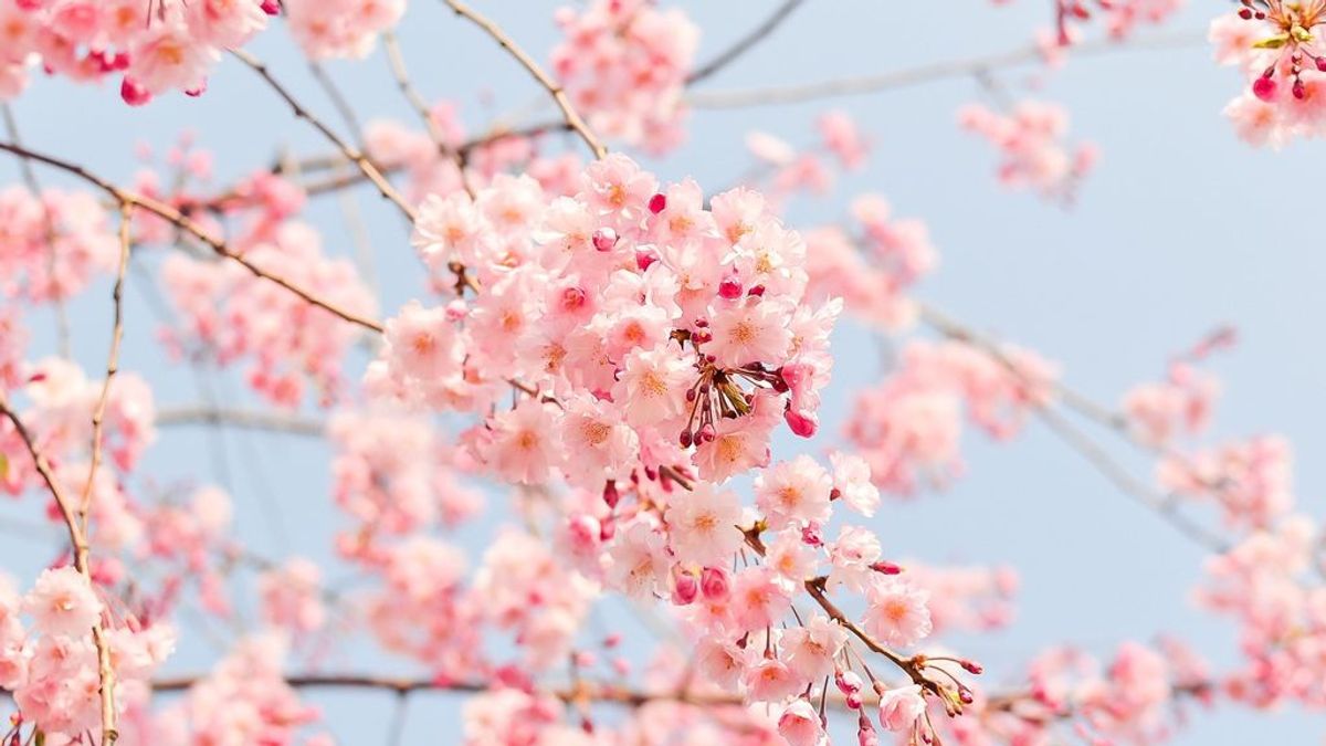 9 cosas que debes saber de la primavera 9 cosas que debes saber de la primavera