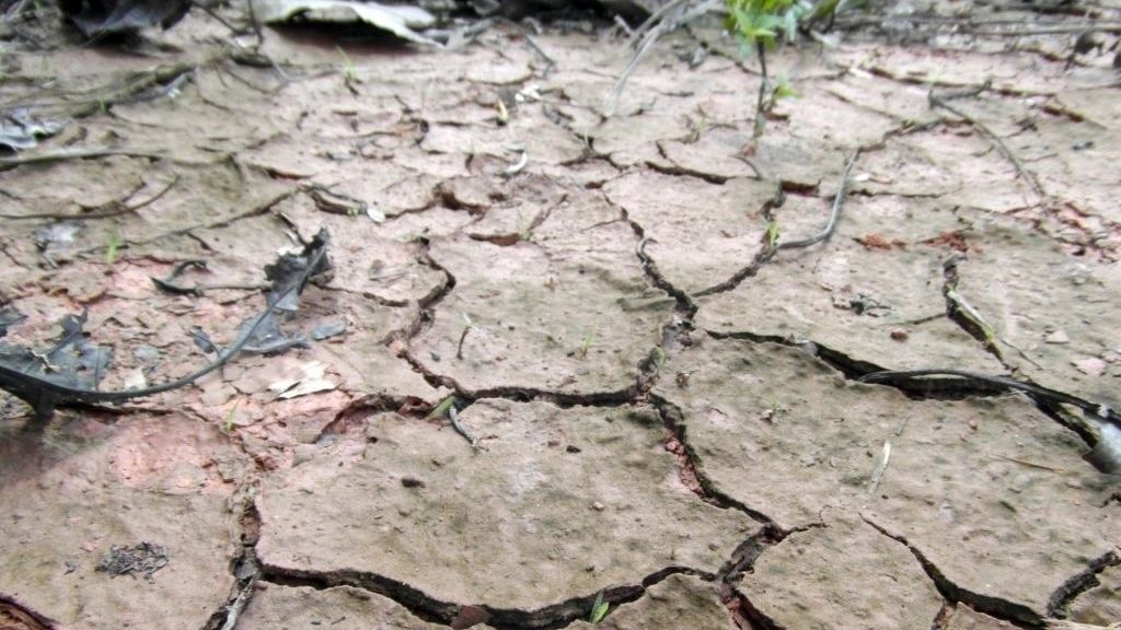 Europa se seca: las sequías que se producen desde 2015 son las peores en 2.000 años