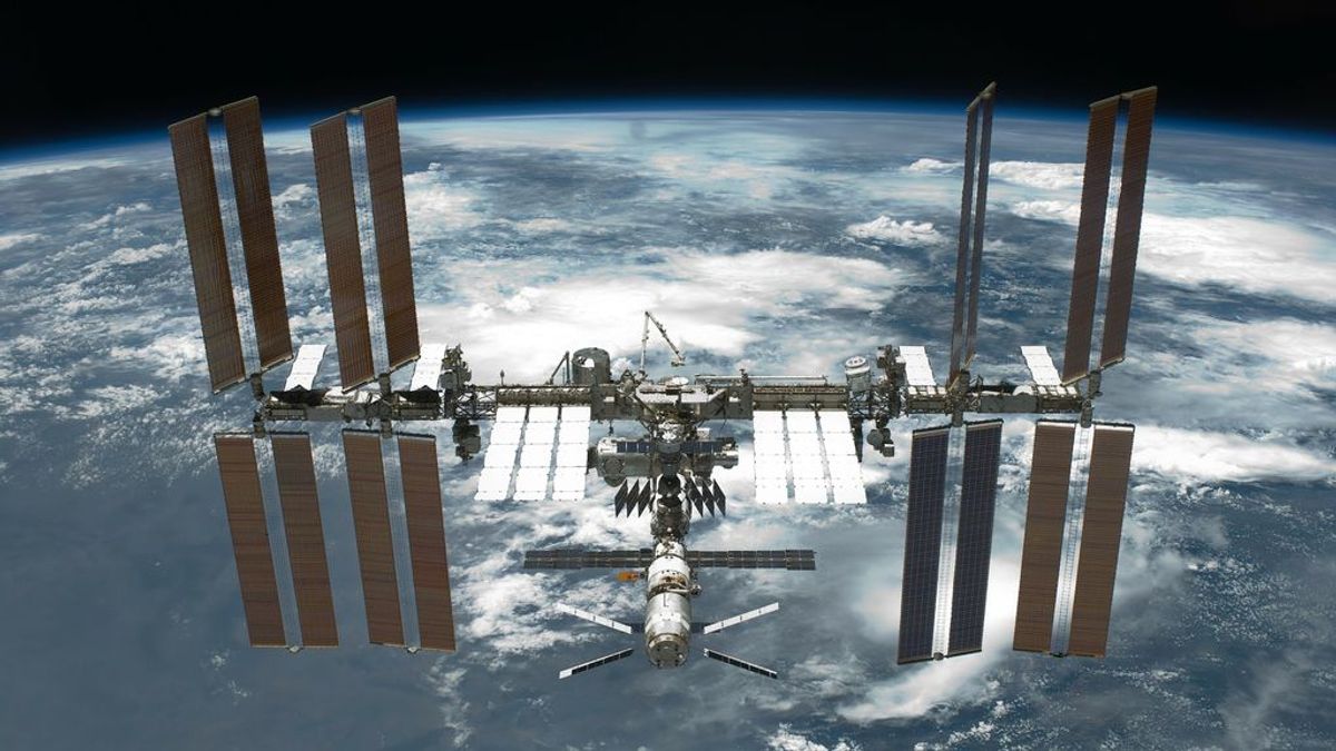 Descubren cuatro cepas bacterianas viviendo en la Estación Espacial Internacional: tres son desconocidas