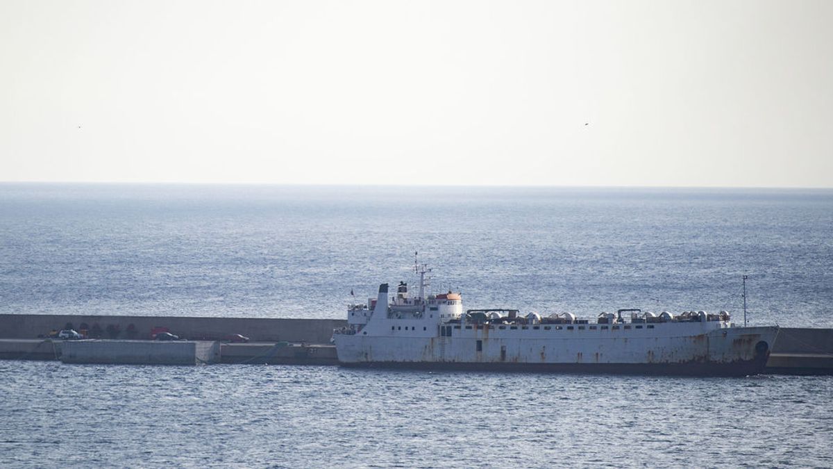 El buque Elbeik obligado a atracar en Cartagena para inspeccionar sus terneros El buque Elbeik obligado a atracar en Cartagena para inspeccionar sus terneros