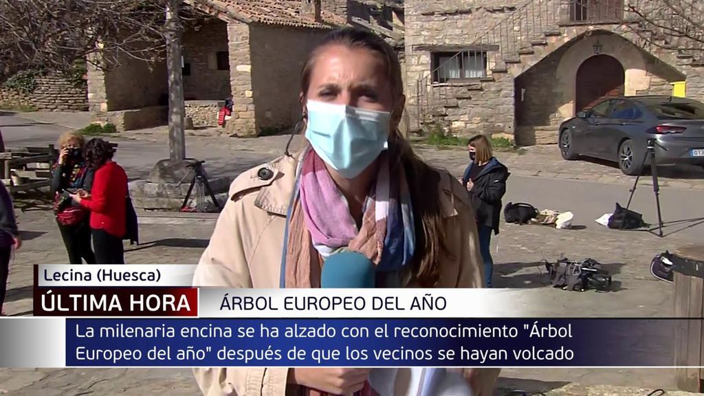 La Carrasca Milenaria de Lecin, Árbol Europeo del Año 2021