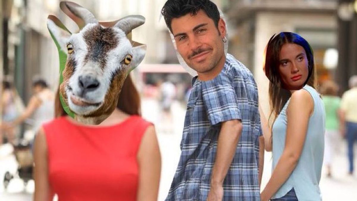 Los mejores memes de 'La isla de las tentaciones': Lara y la cabra de Hugo luchan por el corazón del gallego