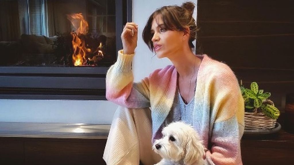 Cárdigans, el complemento perfecto para esta primavera: así podrás combinar este tipo de chaqueta en tu día a día.
