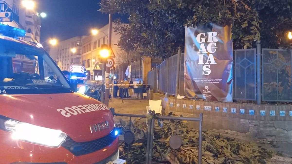 Tres mujeres, heridas graves al caerles un árbol en el barrio de Triana de Sevilla Tres mujeres, heridas graves al caerles un árbol en el barrio de Triana de Sevilla