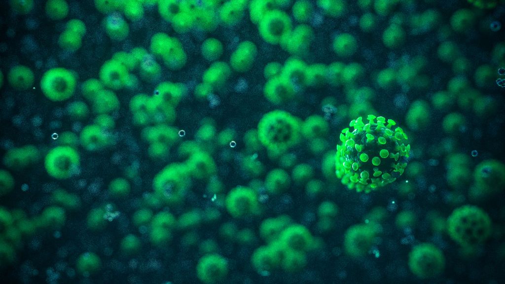 Orígenes de la pandemia: el coronavirus lo intentó varias veces y necesitó una ciudad para propagarse Orígenes de la pandemia: el coronavirus lo intentó varias veces y necesitó una ciudad para propagarse