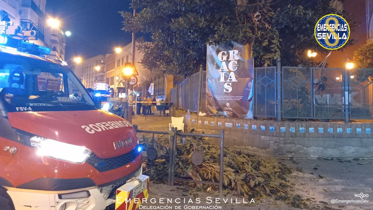 Una rama de un árbol cae sobre un grupo de personas en Sevilla: tres mujeres, heridas graves