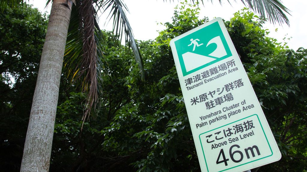Declarada la alerta por tsunami en el noreste de Japón tras un seísmo de 7,2 Declarada la alerta por tsunami en el noreste de Japón tras un seísmo de 7,2