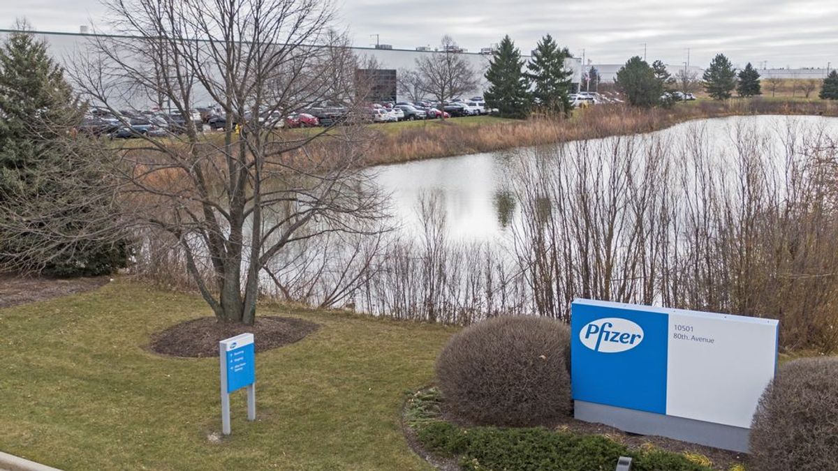 PFIZER FÁRMACO ORAL PFIZER FÁRMACO ORAL