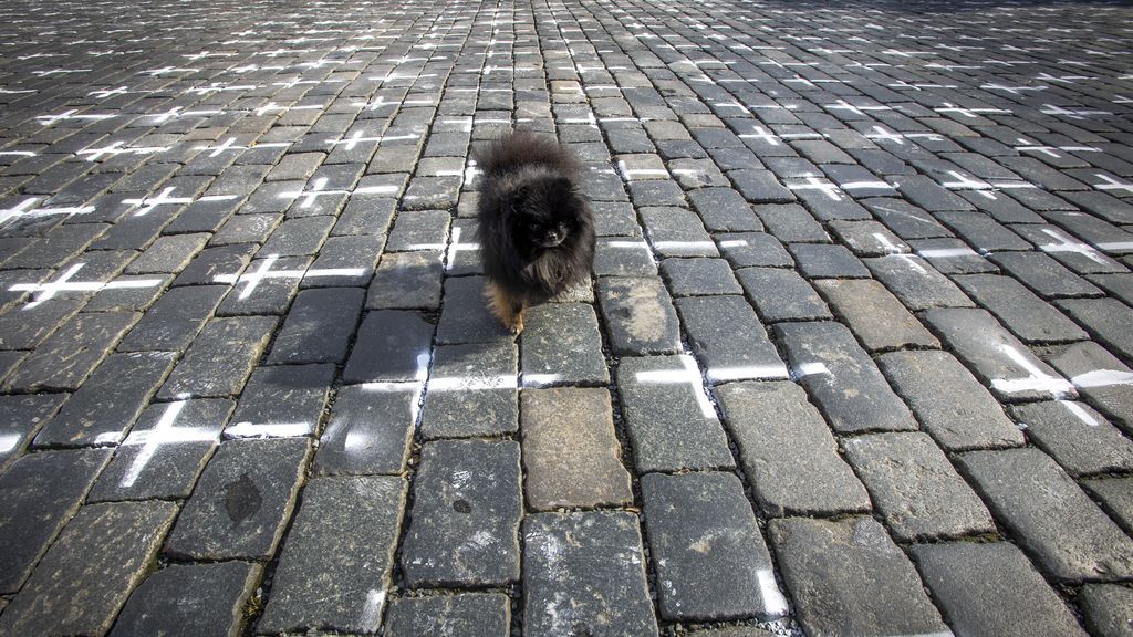 EuropaPress_3615711_22_march_2021_czech_republic_prague_dog_walks_along_the_slabs_lining