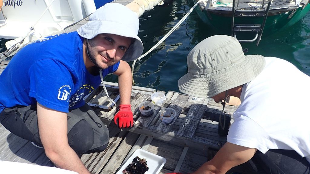 Una de las tomas  de muestras en un puerto deportivo