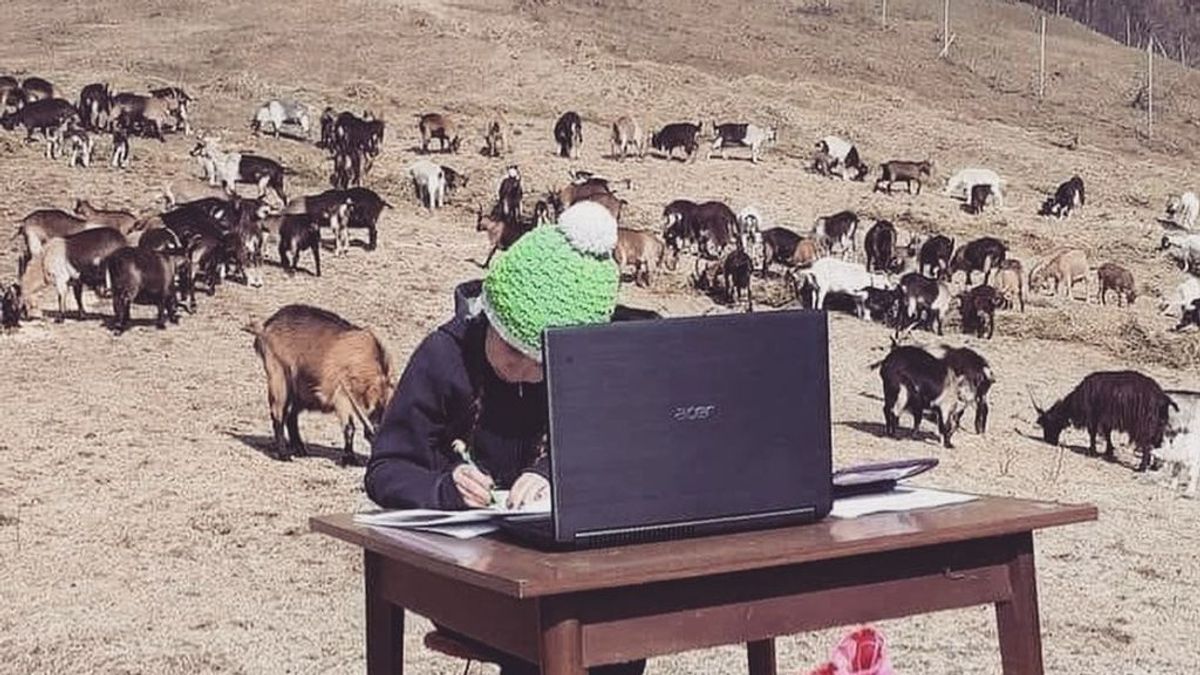 Fiammetta, la Heidi italiana de 10 años que estudia en la montaña rodeada de cabras Fiammetta, la Heidi italiana de 10 años que estudia en la montaña rodeada de cabras