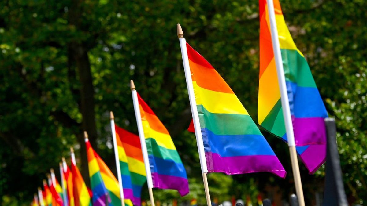 Varias organizaciones instan a Japón a impulsar la Ley de Igualdad LGBT antes de los Juegos Olímpicos Varias organizaciones instan a Japón a impulsar la Ley de Igualdad LGBT antes de los Juegos Olímpicos