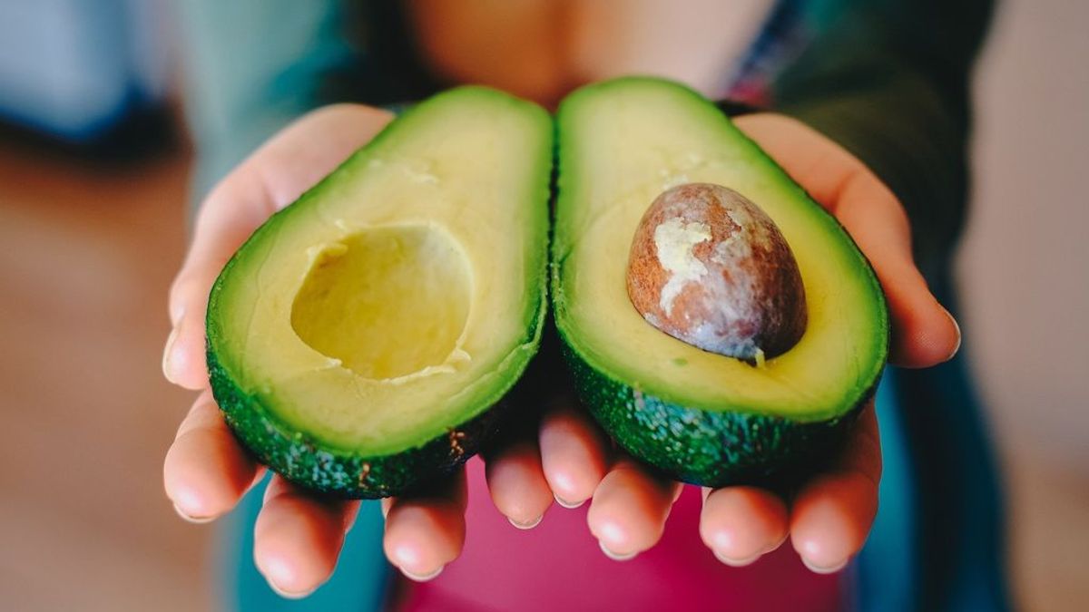 Cómo plantar aguacates Cómo plantar aguacates
