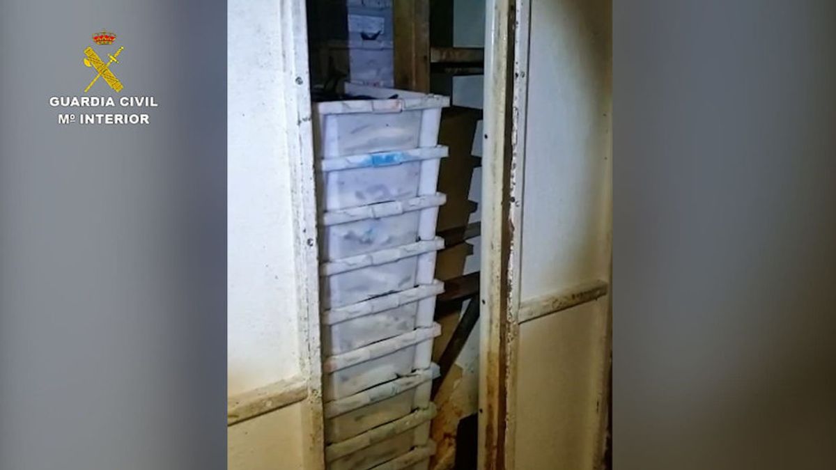 Cinco toneladas de caballa ilegal, ocultas tras una falsa pared en la bodega de un barco de Muros Cinco toneladas de caballa ilegal, ocultas tras una falsa pared en la bodega de un barco de Muros