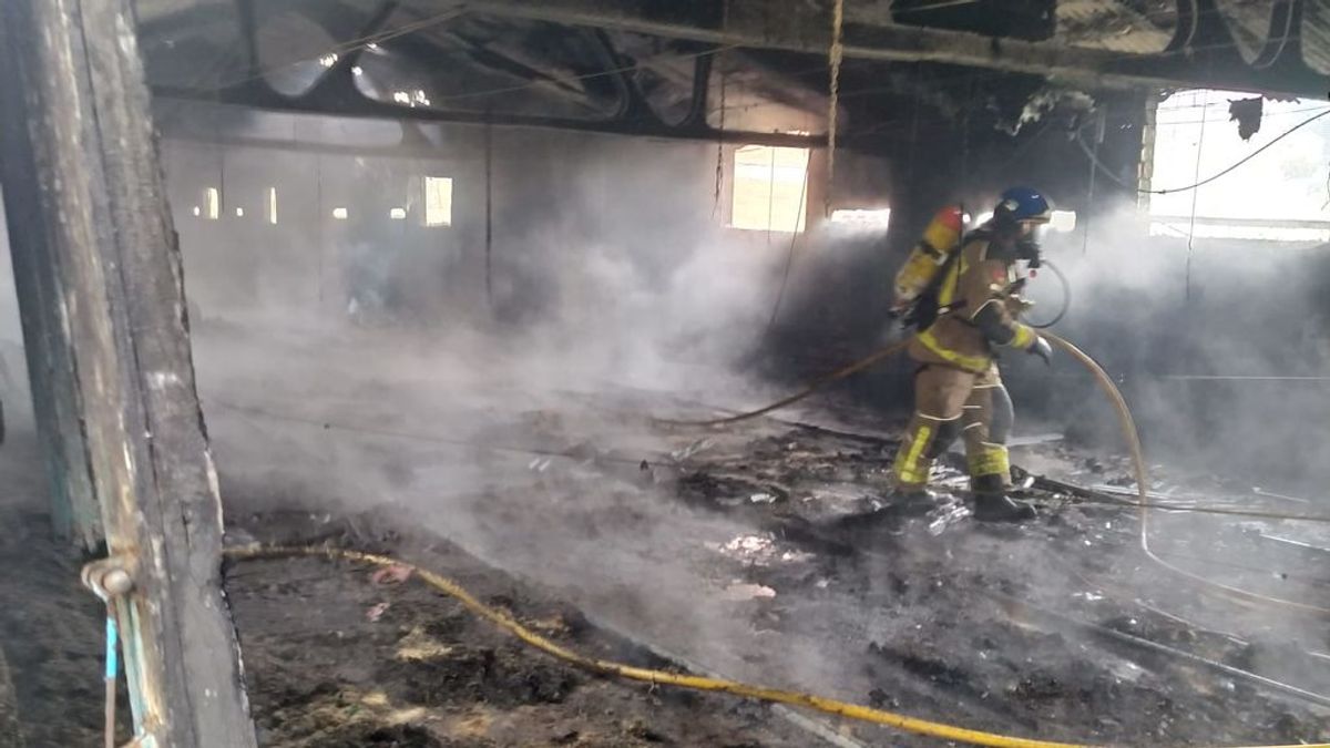 Mueren 7.000 pollos en el incendio de una granja en Barcelona provocado presuntamente por una estufa Mueren 7.000 pollos en el incendio de una granja en Barcelona provocado presuntamente por una estufa