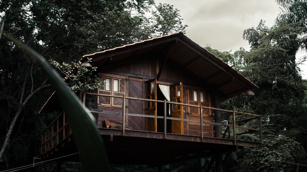 Una casa en un árbol por y para la naturaleza