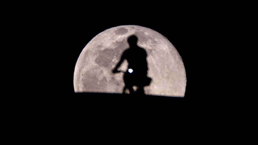 Luna gusano