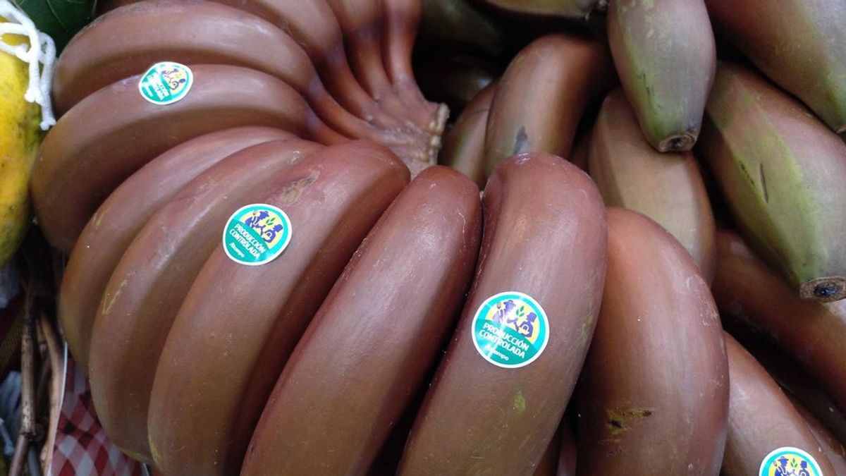 El plátano rojo de Canarias: beneficios de la nueva variante del plátano de toda la vida