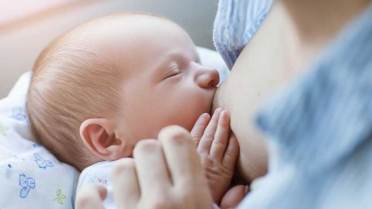La madres vacunadas con Pfizer y Moderna pasan anticuerpos a sus bebés a través de la leche La madres vacunadas con Pfizer y Moderna pasan anticuerpos a sus bebés a través de la leche