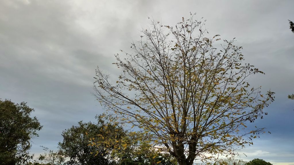 Previsión del tiempo en Semana Santa: inestabilidad, lluvias generalizadas y descenso de temperaturas Previsión del tiempo en Semana Santa: inestabilidad, lluvias generalizadas y descenso de temperaturas